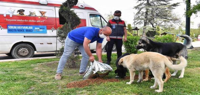 Ankara Büyükşehir Belediyesi sokak hayvanları için mama üretim tesisi