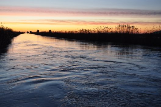 Büyük Menderes ırmağı suyunda ki Kadminyum’un ölümcül etkileri…