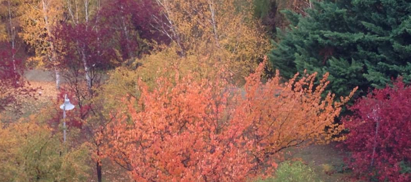 Mevsimlerin Ahlaki Değerlere Etkisi: İlkbahar ve Sonbaharda Neden Daha Ahlaklıyız?