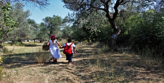 Solgun Benizli Kadınların Mevsimi