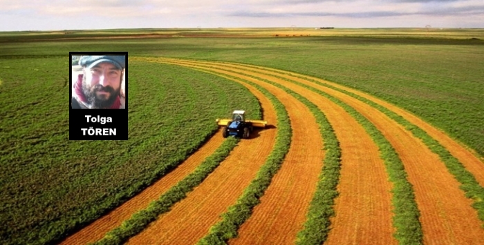 Dünyada ve Türkiye’de Tarım Sektöründe Genel Eğilimler