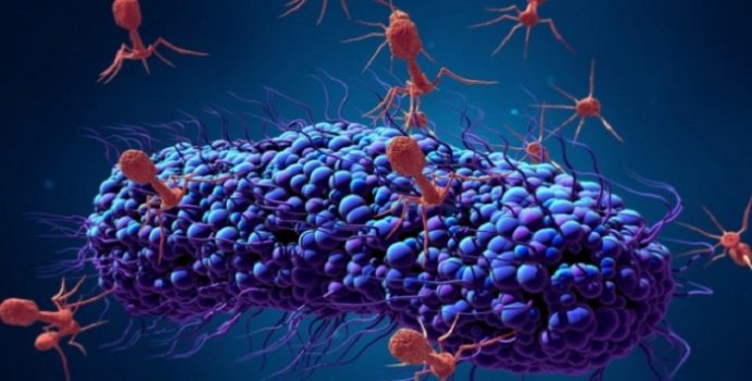 Almanya’da koronavirüse karşı antikor ilaçları da devreye giriyor