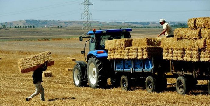 CHP Danıştay’a Başvurdu: İki Yıl İşlenmeyen Tarım Arazilerinin Kiralanmasının İptali
