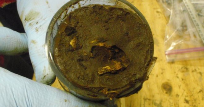 Bilim insanları 100 milyon yıldır uyuyan mikroplar uyandırdı…