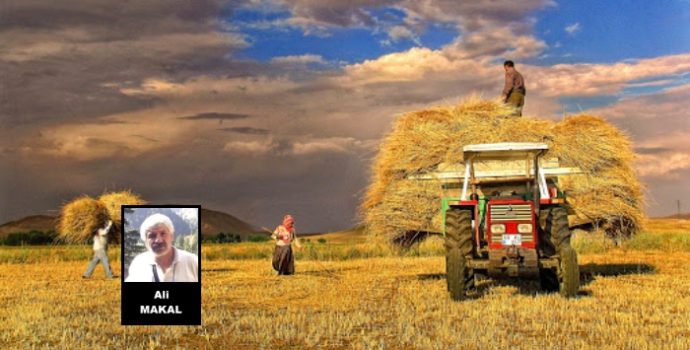 Tarım Arazisinde Kömür Ara, Dışarıdan Toprak Kirala