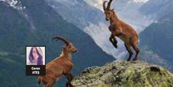 Dağlar, Taşlar, Kızıl Akan Munzur Şahit