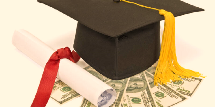 Kamu Kurumlarında Sahte Diploma Skandalı: Hukukçudan Eczacıya, Yüzlerce Kişi Sahte Belgelerle Göreve Başlamış