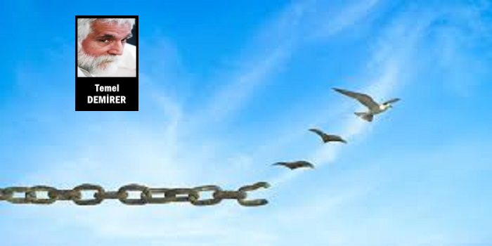 Özgürlük yerküreyi kurtarıp, güzelleştirme umudu ve iradesidir*