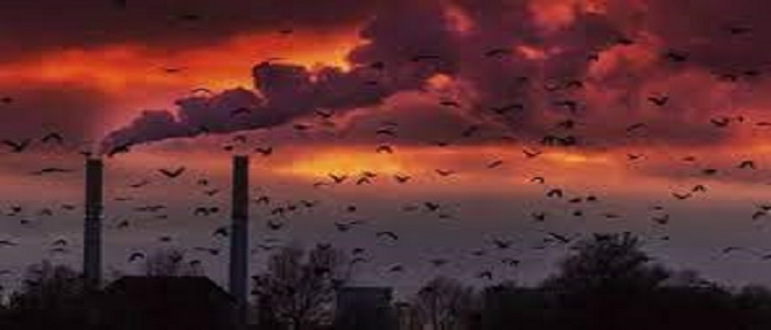 Bilim dünyası için yeni umut: Işıkla karbondioksit yakalamanın yolu…