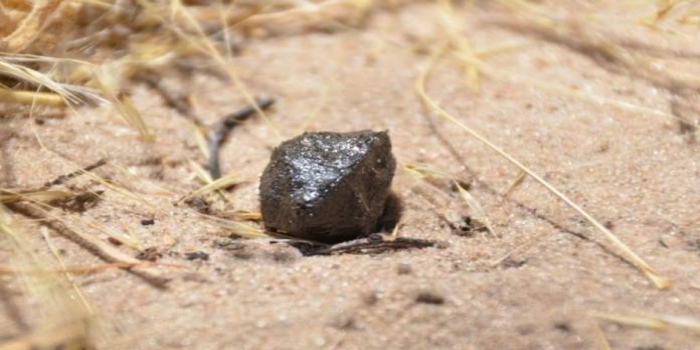 Bingöl’e Düşen Göktaşının Sırrı Çözüldü