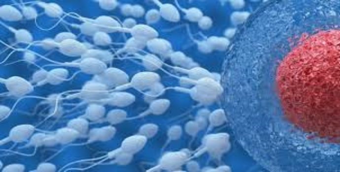 Aşı değil, Covid-19 sperm sayısının azalmasına neden oluyor