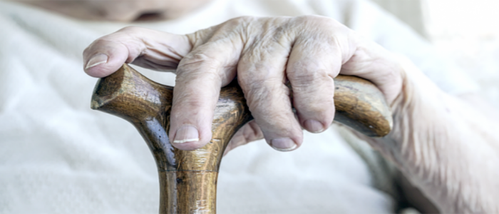 Yaşam Süresini Uzatan Gen: F-Actin’in Önemi