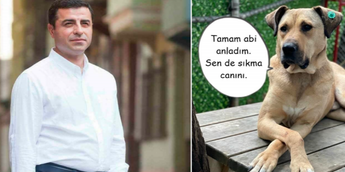 Demirtaş: Korkum o ki, dövizdeki yükselişi de bir şekilde getirip Boji’ye bağlayacaklar