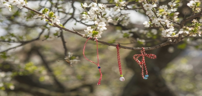 İklim krizi: Yeni bir araştırmaya göre İngiltere’de bitkiler artık bir ay erken çiçek açıyor