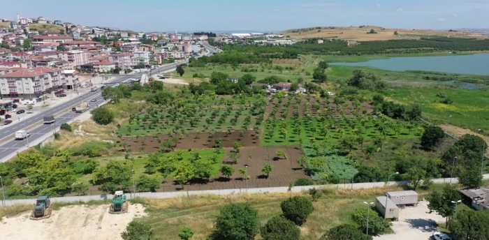 İSKİ, 2021’de 100 bin fidanı toprakla buluşturdu…