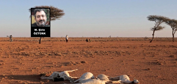 Somali Kuraklık Mağduru mudur?