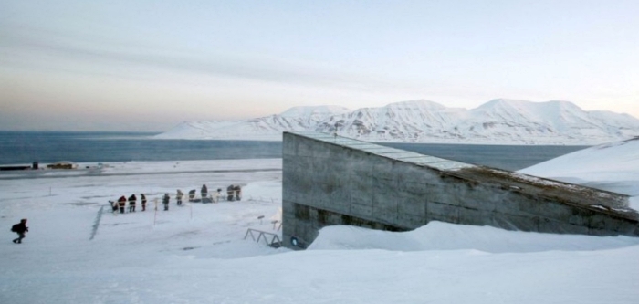 Arktik tohum kasasına yeni tohumlar geliyor