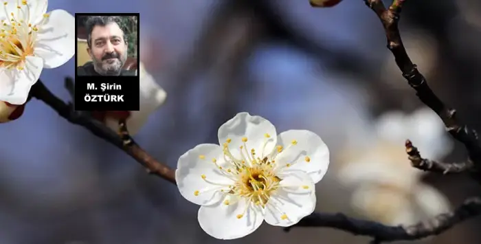 Tövbe Etmelerden Ne Vakit Tövbe Edeceğiz?