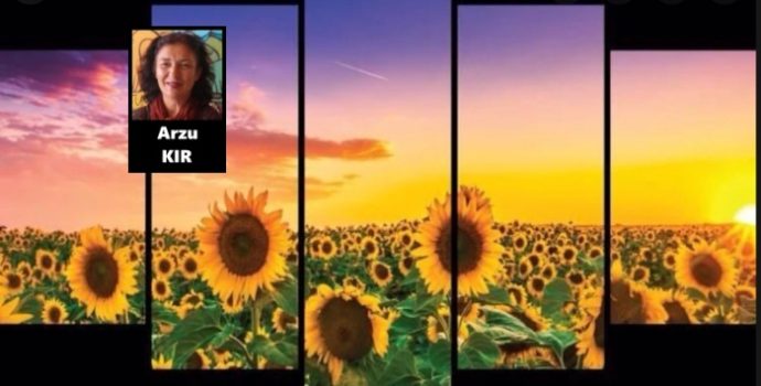 Hiçbir Yere Gitmeyeceğiz Bu Ülkeyi Sımışkalarla Süsleyeceğiz*