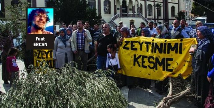 Bir Yasanın İşaret Ettiği Türkiye’nin Bileşenleri, Zeytin mi Tesis mi?