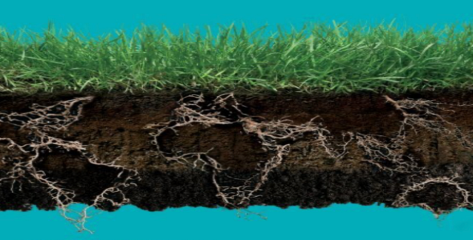 BM raporu: Dünya arazisinin yüzde 40’ı kadarı bozunmaya uğradı