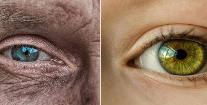 İngiltere’de deri hücresi 30 yıl gençleştirildi: ‘Amaç sağlıklı yaşam süresini uzatmak’