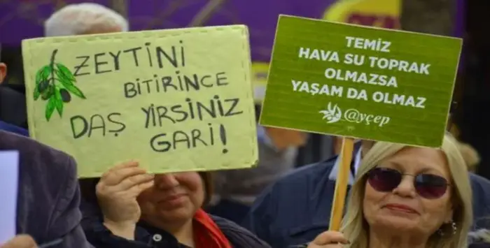 ‘Zeytinlikleri ve geleceği yok etmeyin’