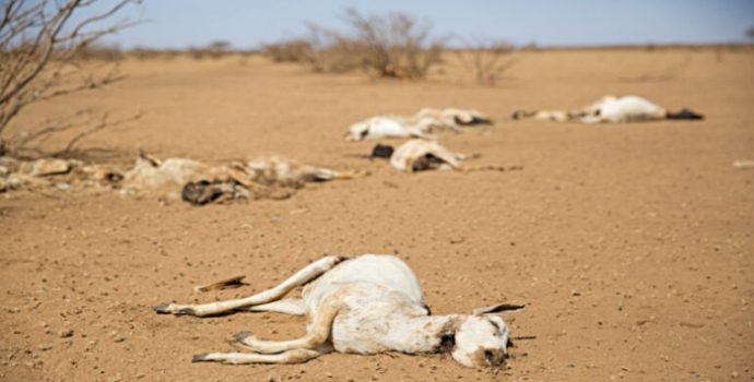 2000 yılından beri kuraklık dönemleri yüzde 29 arttı