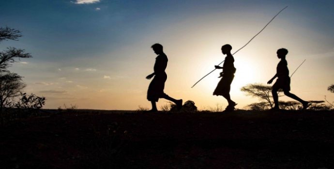 Ten renginin evriminde folik asit ve D vitaminin rolü