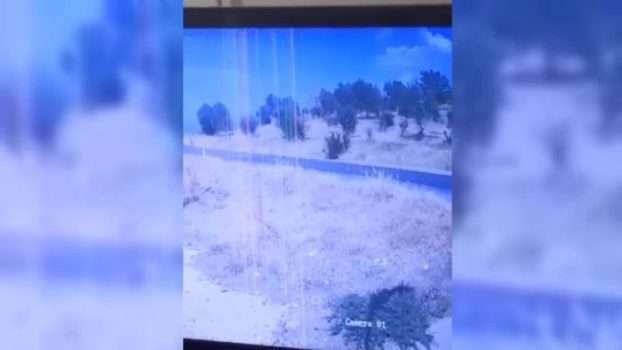 Nesin Vakfı’na ait Matematik Köyü’ndeki zeytinlik kundaklandı.