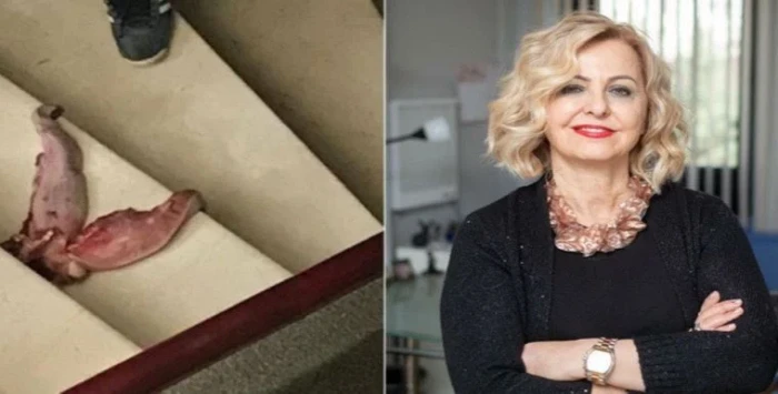 Prof. Dr. Esin Davutoğlu Şenol’u ölümle tehdit eden kişi serbest bırakıldı