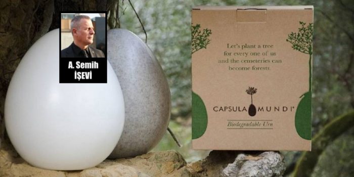 Sürdürülebilir Defin ile Ağaca Dönüşmek