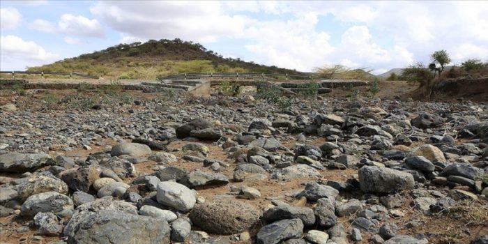 Kenya’da kuraklık yüzlerce yaban hayvanının telef olmasına yol açtı