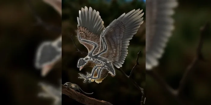 Dinozorlar ve kuşlar arasındaki gizemli boşluğu doldurmaya yardımcı olacak yeni keşif