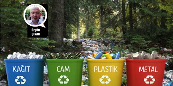 Evini Temizlerken Çevreyi Kirleten Canlıya Ne Ad Verilir