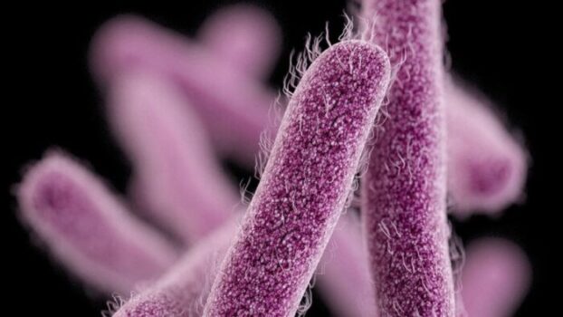 Yeni Araştırma: Binlerce Yıllık Patojenler Yeni Salgın Tehdidiyle Karşımızda!