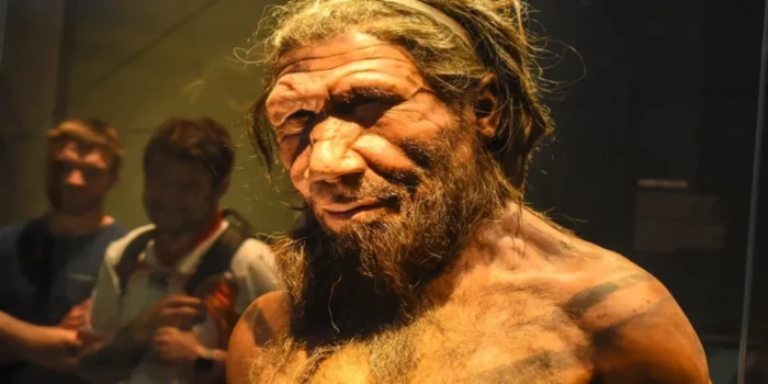 Neandertaller nasıl anlaşıyordu; nasıl bir dil kullanıyordu?