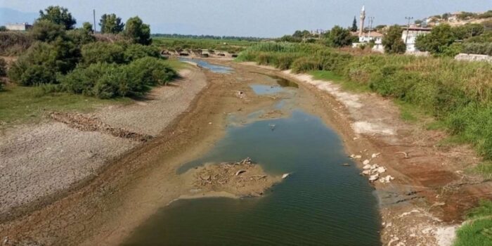 Büyük Menderes Nehri’nde Kuraklık ve Kirlilik: Balık Ölümlerine Neden Oldu