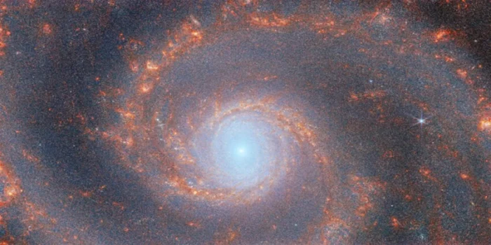 Uzayda Hayat: Gezegen Olmadan Var Olabilen Yaşam Formları