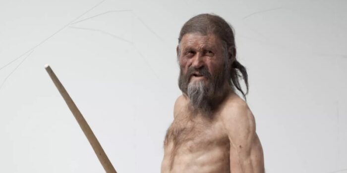 Ötzi: 5.300 Yıllık Bir Cinayetin Bilimle Aydınlanan Sırrı
