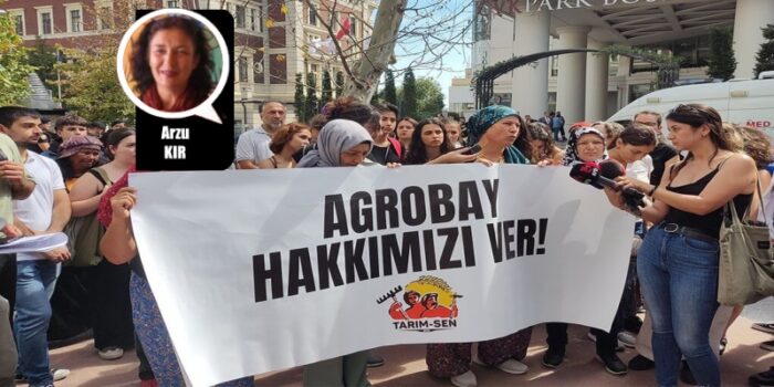 Bayburt Grubu ve Agrobay Seracılık, “Dünyanın en büyük serası Bergama Dikili’de”