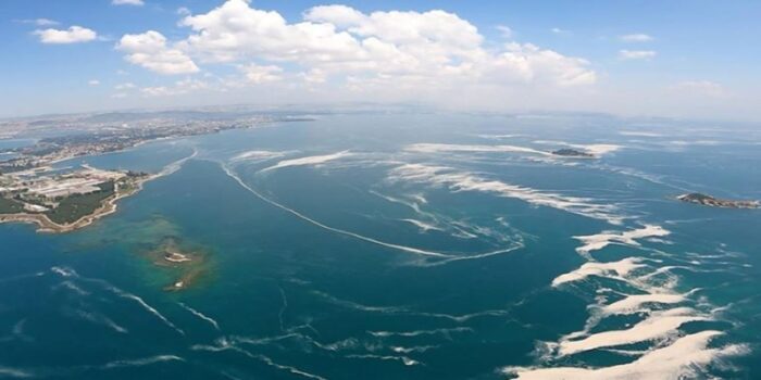 Marmara Denizi’nde Çevre Felaketi: Oksijen Azalıyor, Sıcaklık Artıyor, Deniz Salyası Yayılıyor
