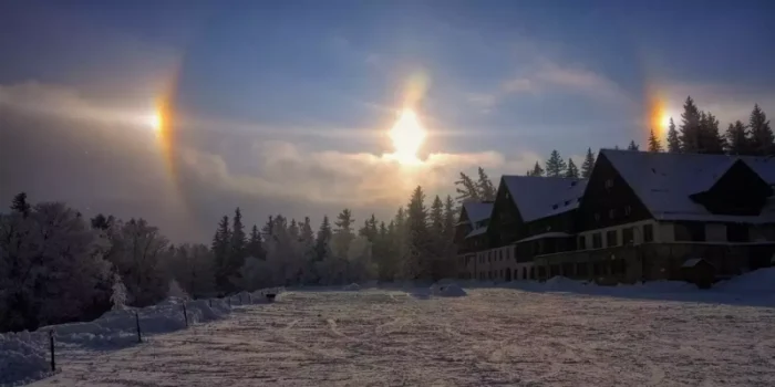 9 bilim insanı ve filozof, evrendeki her şeyin evrimini açıklayan “kayıp doğa yasası”nı bulduklarını iddia ediyor.