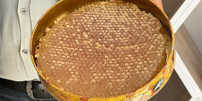 Tunceli balı, polen sayısıyla Türkiye standartlarını aştı