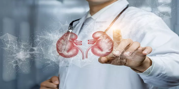 ‘Türkiye’de 28 bin kişi böbrek nakli bekliyor’