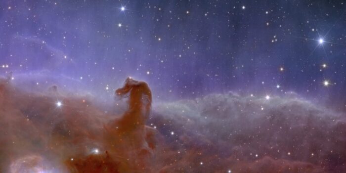 Euclid teleskobu uzak galaksilerin büyüleyici görüntülerini ortaya çıkardı