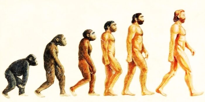 İnsanların primatlardan farklı bilişsel yeteneklere sahip olmasının genetik sırrı çözüldü