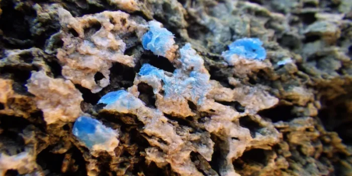 Plastik kayalar: İnsan faaliyetlerinin gezegeni nasıl etkilediğinin bir işareti