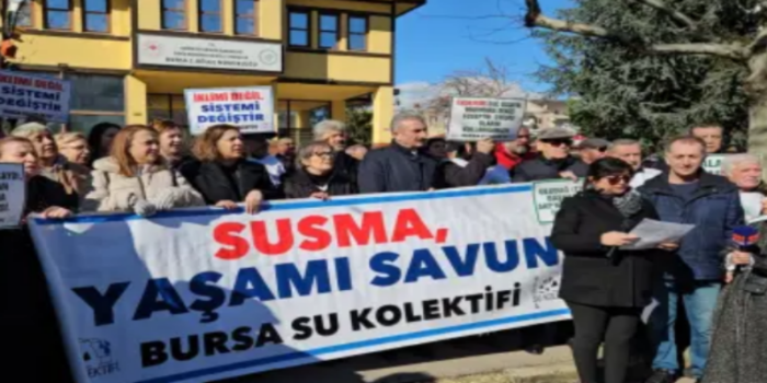 Bursa’da ormanlar talan edildi, üç yılda 4 milyon metrekare alan orman vasfından çıkarıldı…