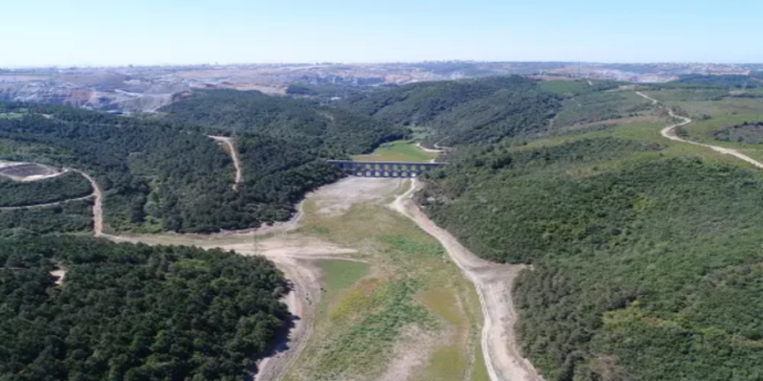 Kuzey Ormanları’nda talan devam ediyor: İstanbul’un akciğeri tehlikede